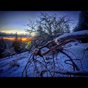 Meet your Posher, Chad